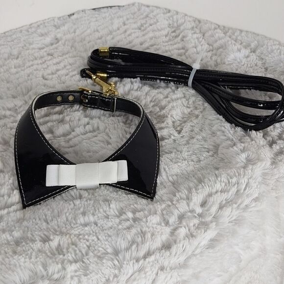 Dog Collar & Leash 12 - Picture 5 of 5